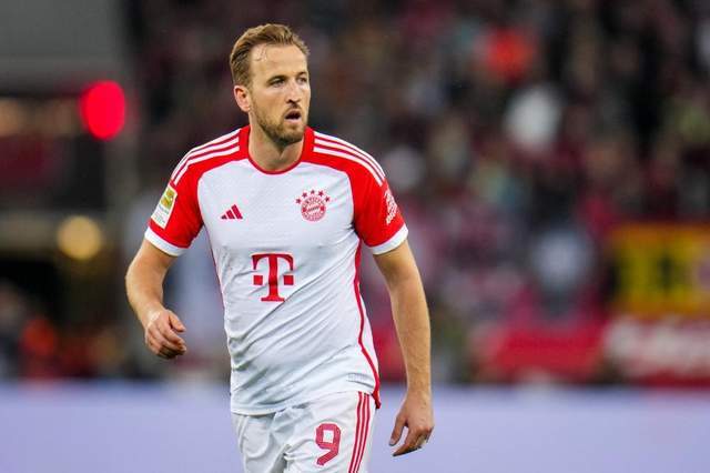 他俱乐部树 他俱乐部树