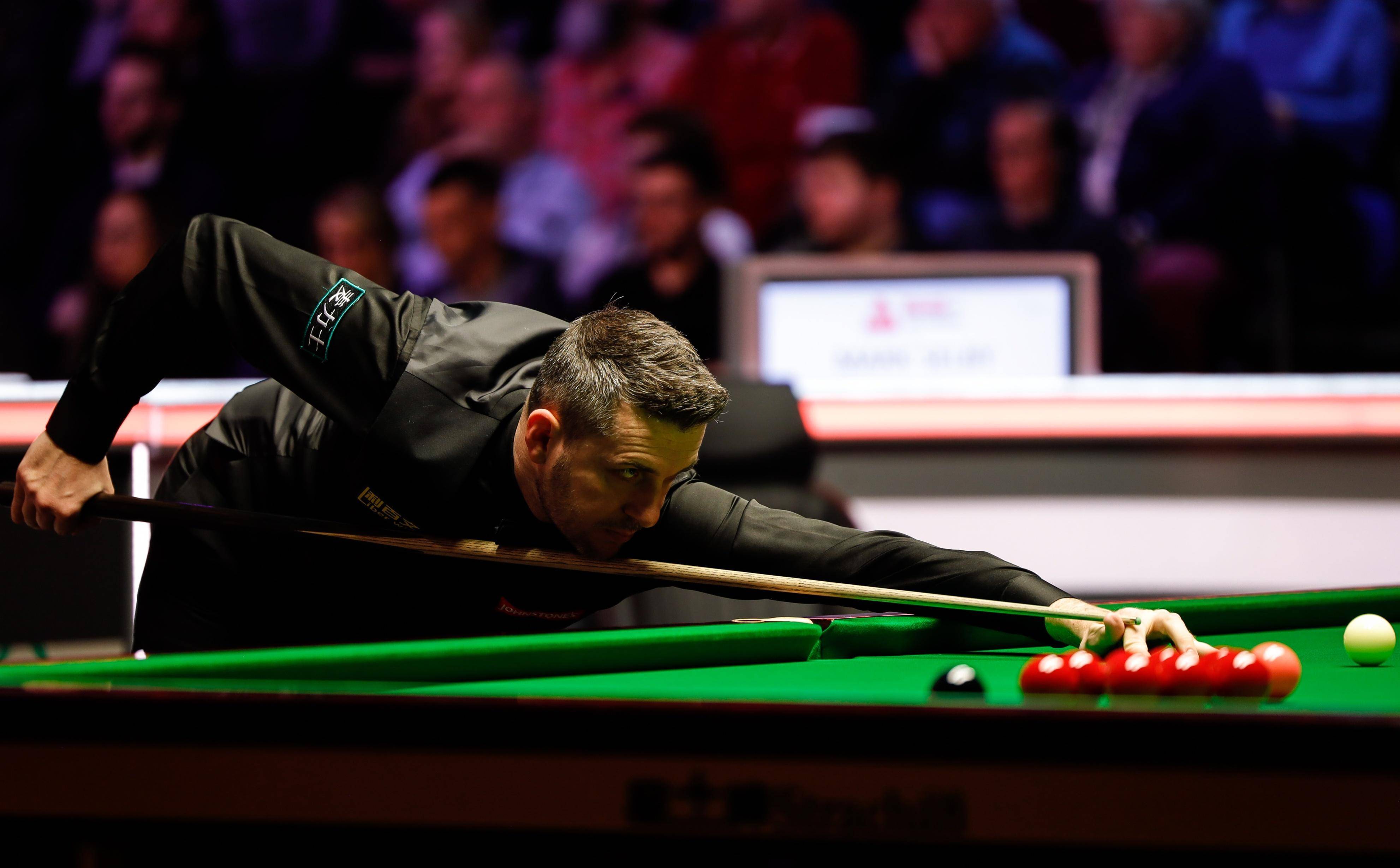 本场展望 本场展望