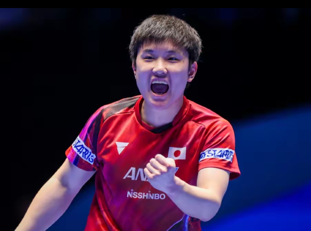 以上的夺冠 以上的夺冠