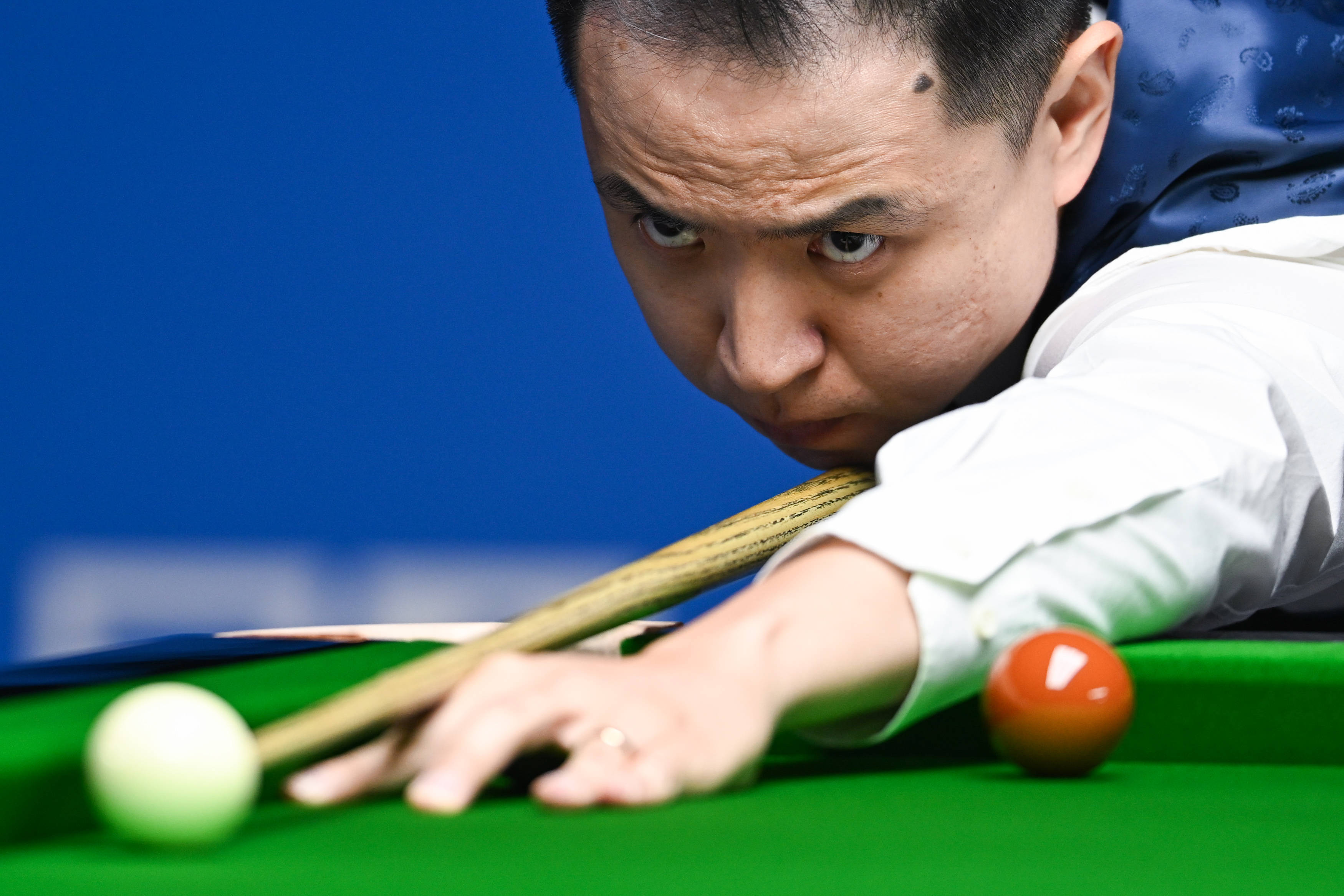 为主色调 为主色调