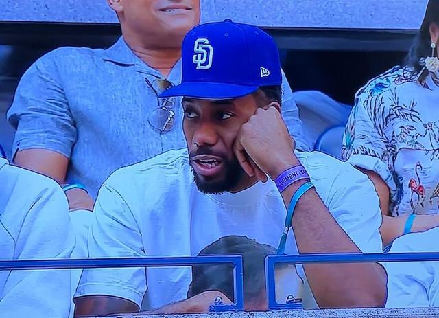 引进范迪克 引进范迪克